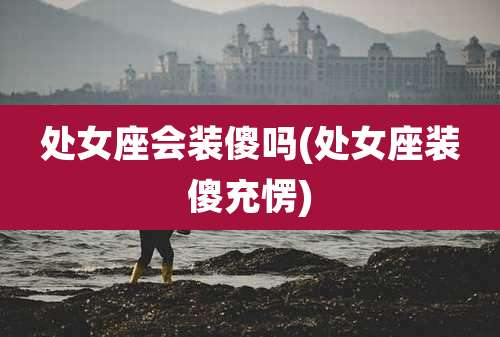 处女座会装傻吗(处女座装傻充愣)