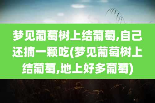梦见葡萄树上结葡萄,自己还摘一颗吃(梦见葡萄树上结葡萄,地上好多葡萄)