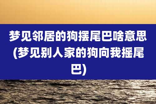 梦见邻居的狗摆尾巴啥意思(梦见别人家的狗向我摇尾巴)