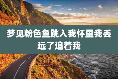 梦见粉色鱼跳入我怀里我丢远了追着我