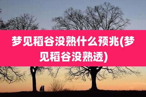 梦见稻谷没熟什么预兆(梦见稻谷没熟透)