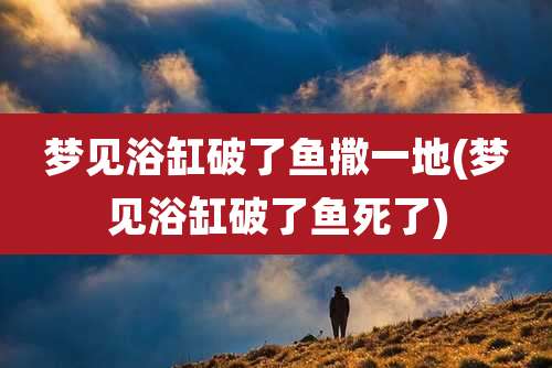 梦见浴缸破了鱼撒一地(梦见浴缸破了鱼死了)