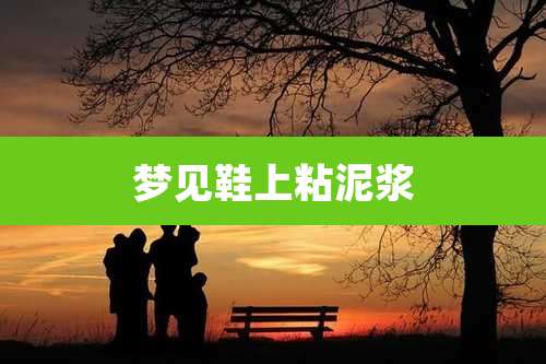 梦见鞋上粘泥浆