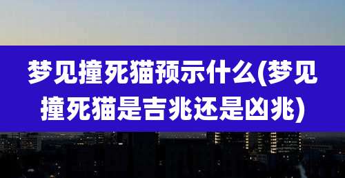 梦见撞死猫预示什么(梦见撞死猫是吉兆还是凶兆)