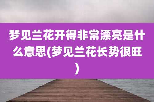梦见兰花开得非常漂亮是什么意思(梦见兰花长势很旺)