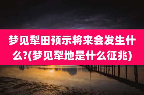 梦见犁田预示将来会发生什么?(梦见犁地是什么征兆)