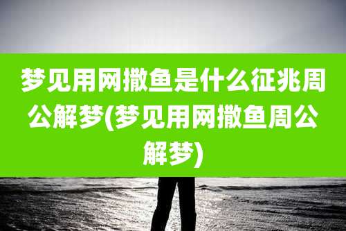 梦见用网撒鱼是什么征兆周公解梦(梦见用网撒鱼周公解梦)