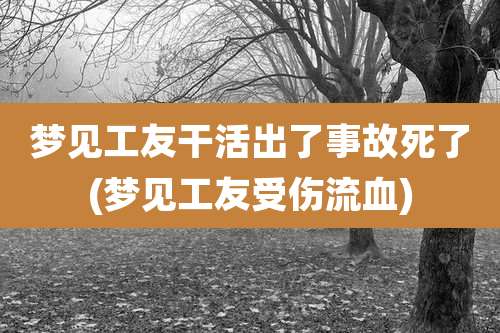 梦见工友干活出了事故死了(梦见工友受伤流血)