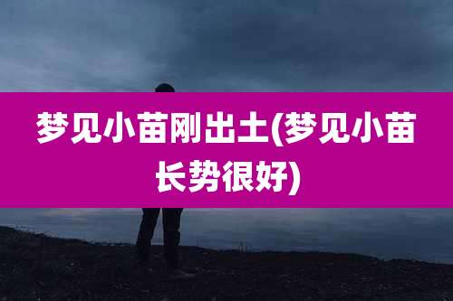 梦见小苗刚出土(梦见小苗长势很好)