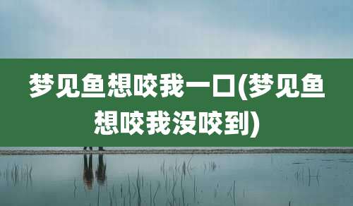 梦见鱼想咬我一口(梦见鱼想咬我没咬到)