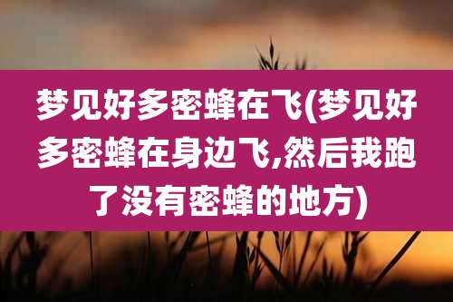 梦见好多密蜂在飞(梦见好多密蜂在身边飞,然后我跑了没有密蜂的地方)