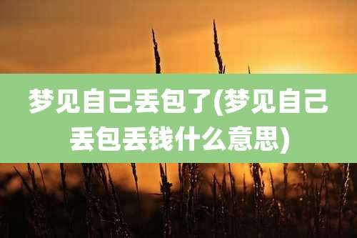 梦见自己丢包了(梦见自己丢包丢钱什么意思)