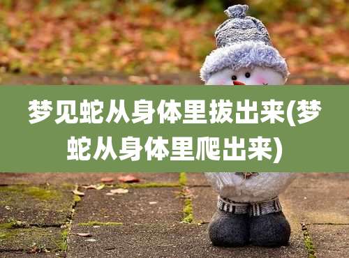 梦见蛇从身体里***(梦蛇从身体里爬出来)