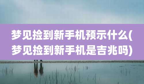 梦见捡到新手机预示什么(梦见捡到新手机是吉兆吗)