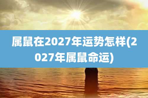 属鼠在2027年运势怎样(2027年属鼠命运)