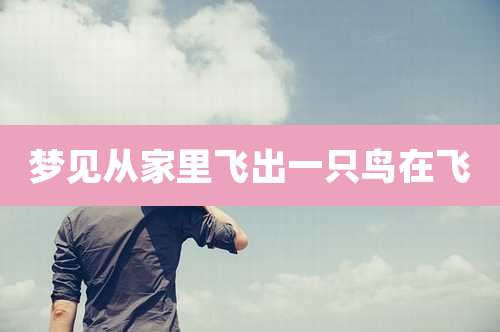 梦见从家里飞出一只鸟在飞