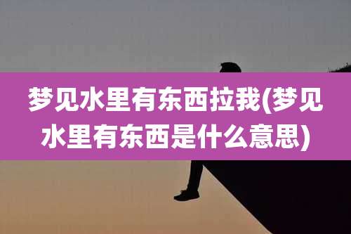 梦见水里有东西拉我(梦见水里有东西是什么意思)