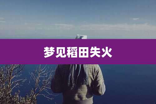 梦见稻田失火