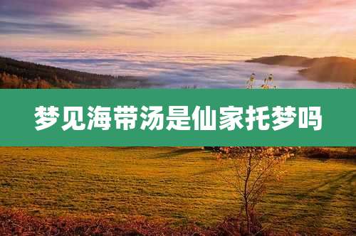 梦见海带汤是仙家托梦吗