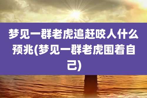 梦见一群老虎追赶咬人什么预兆(梦见一群老虎围着自己)