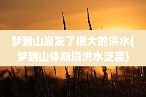 梦到山崩发了很大的洪水(梦到山体崩塌洪水泛滥)