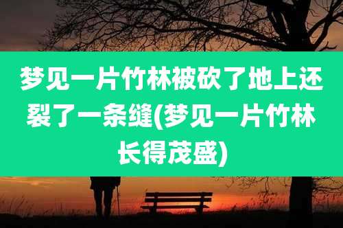 梦见一片竹林被砍了地上还裂了一条缝(梦见一片竹林长得茂盛)