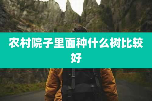 农村院子里面种什么树比较好