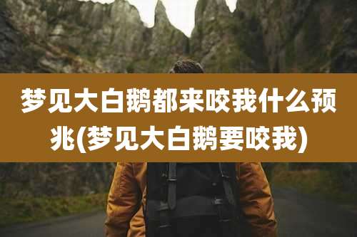 梦见大白鹅都来咬我什么预兆(梦见大白鹅要咬我)