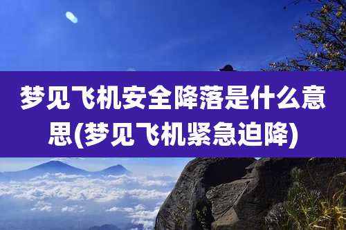 梦见飞机安全降落是什么意思(梦见飞机紧急迫降)