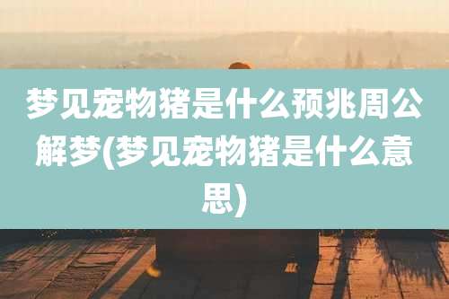 梦见宠物猪是什么预兆周公解梦(梦见宠物猪是什么意思)