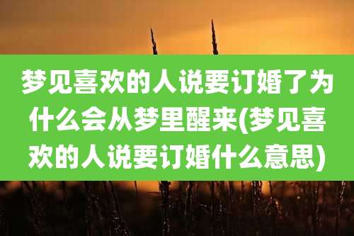 梦见喜欢的人说要订婚了为什么会从梦里醒来(梦见喜欢的人说要订婚什么意思)