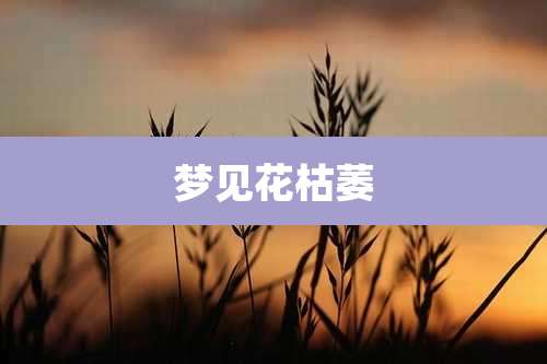 梦见花枯萎