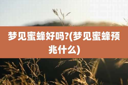 梦见蜜蜂好吗?(梦见蜜蜂预兆什么)