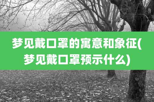 梦见戴口罩的寓意和象征(梦见戴口罩预示什么)