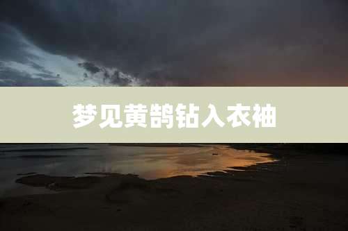 梦见黄鹄钻入衣袖