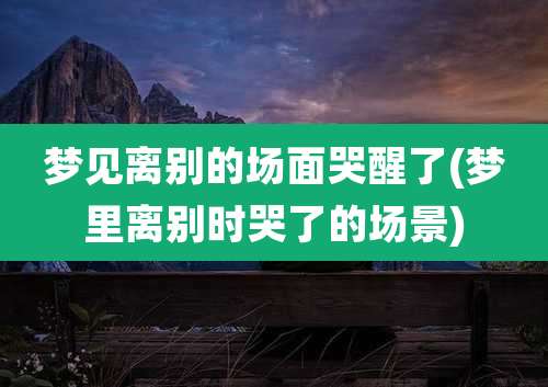 梦见离别的场面哭醒了(梦里离别时哭了的场景)