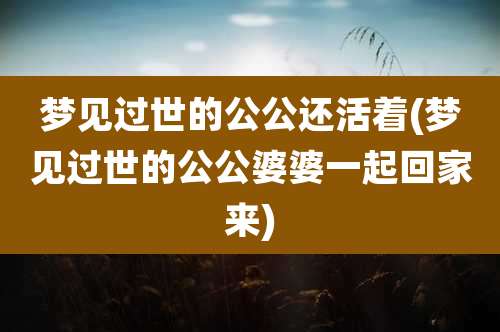 梦见过世的公公还活着(梦见过世的公公婆婆一起回家来)