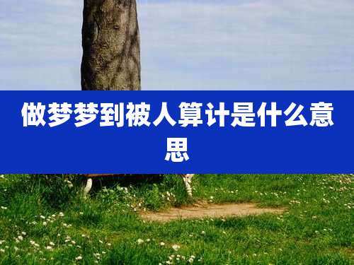 做梦梦到被人算计是什么意思