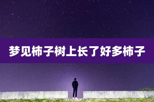 梦见柿子树上长了好多柿子