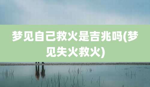 梦见自己救火是吉兆吗(梦见失火救火)