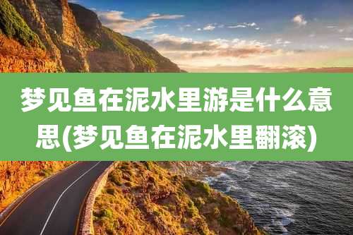 梦见鱼在泥水里游是什么意思(梦见鱼在泥水里翻滚)