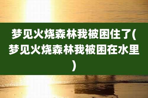 梦见火烧森林我被困住了(梦见火烧森林我被困在水里)