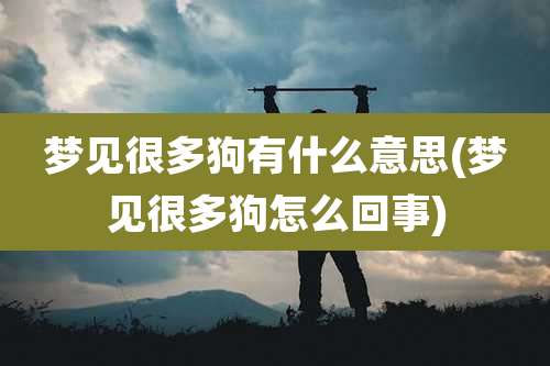 梦见很多狗有什么意思(梦见很多狗怎么回事)