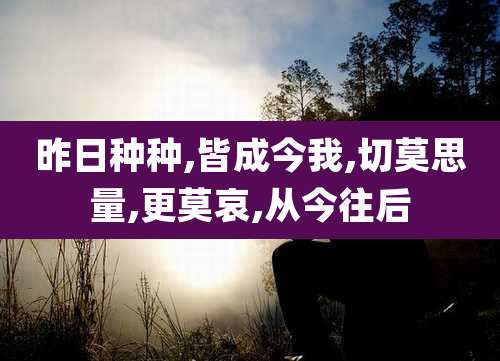 昨日种种,皆成今我,切莫思量,更莫哀,从今往后