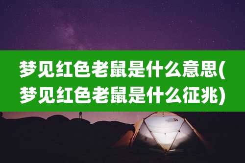 梦见红色老鼠是什么意思(梦见红色老鼠是什么征兆)