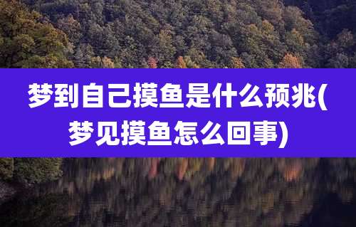 梦到自己摸鱼是什么预兆(梦见摸鱼怎么回事)
