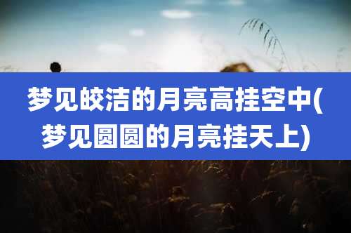 梦见皎洁的月亮高挂空中(梦见圆圆的月亮挂天上)