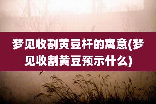 梦见收割黄豆杆的寓意(梦见收割黄豆预示什么)