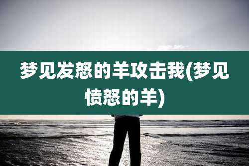 梦见发怒的羊攻击我(梦见愤怒的羊)