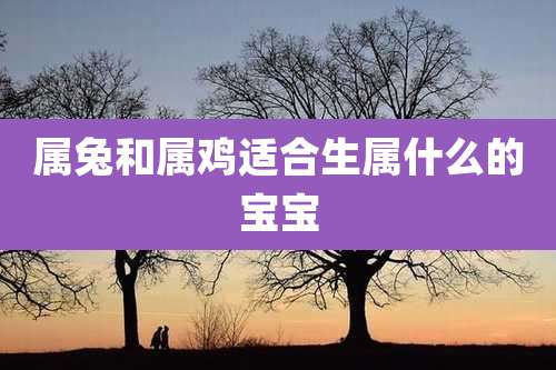 属兔和属鸡适合生属什么的宝宝